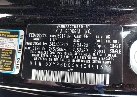 2024 Kia Telluride S from USA, damaged, VIN 5XYP6DGC6RG491525